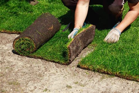 sod asheville|Sod Installation Asheville NC